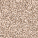 Mohawk CarpetDynamic Quality II